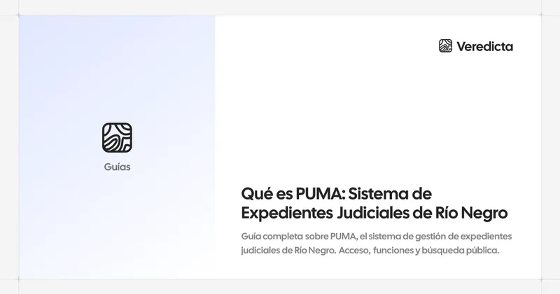 Qué es PUMA: Sistema de Expedientes Judiciales de Río Negro